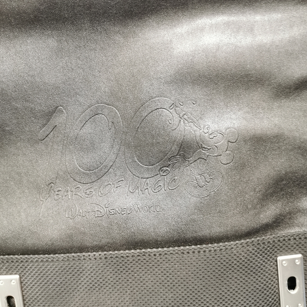 Disney briefcase/laptop/book bag